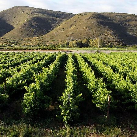 Tanagra Wine & Guestfarm Daire McGregor Dış mekan fotoğraf