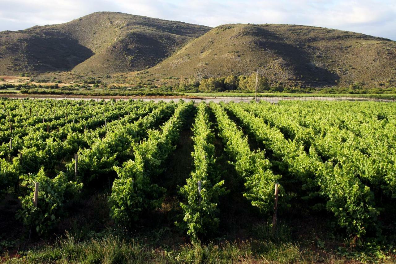 Tanagra Wine & Guestfarm Daire McGregor Dış mekan fotoğraf
